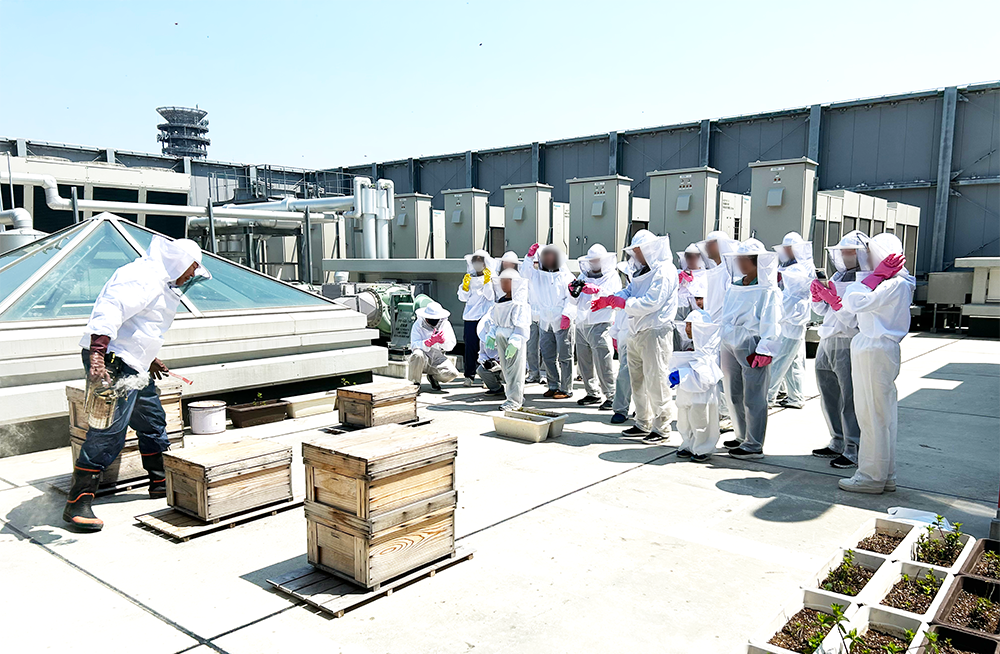 巣箱開放と採蜜の様子04