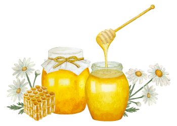 蜂蜜イラスト