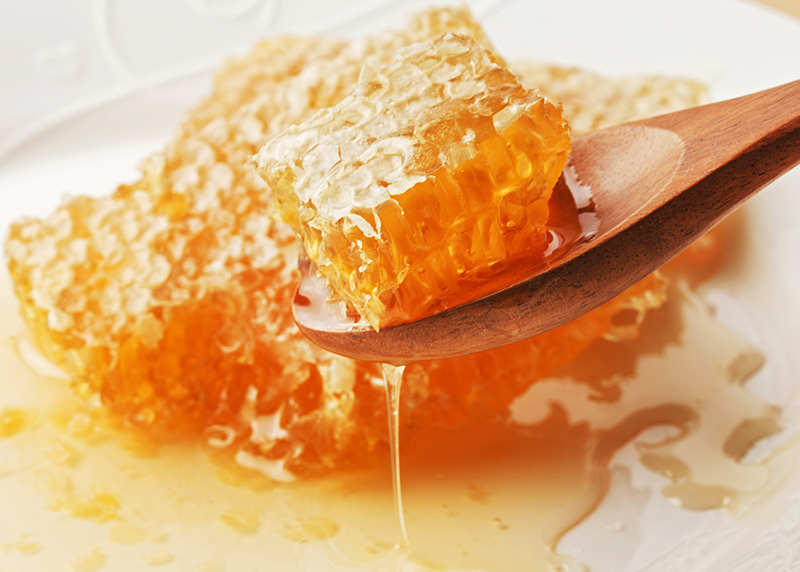 イベントの様子