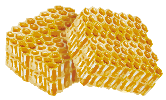 コムハニーイラスト