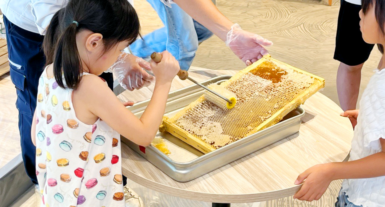都市養蜂イベントイメージ