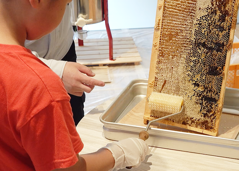 イベントの様子